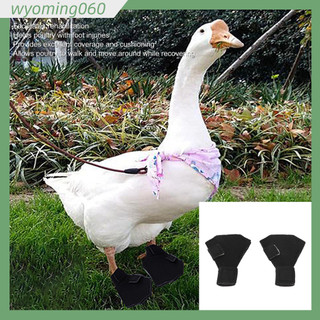 Giày bảo hộ chân vịt, giày bảo hộ chân vịt ngỗng