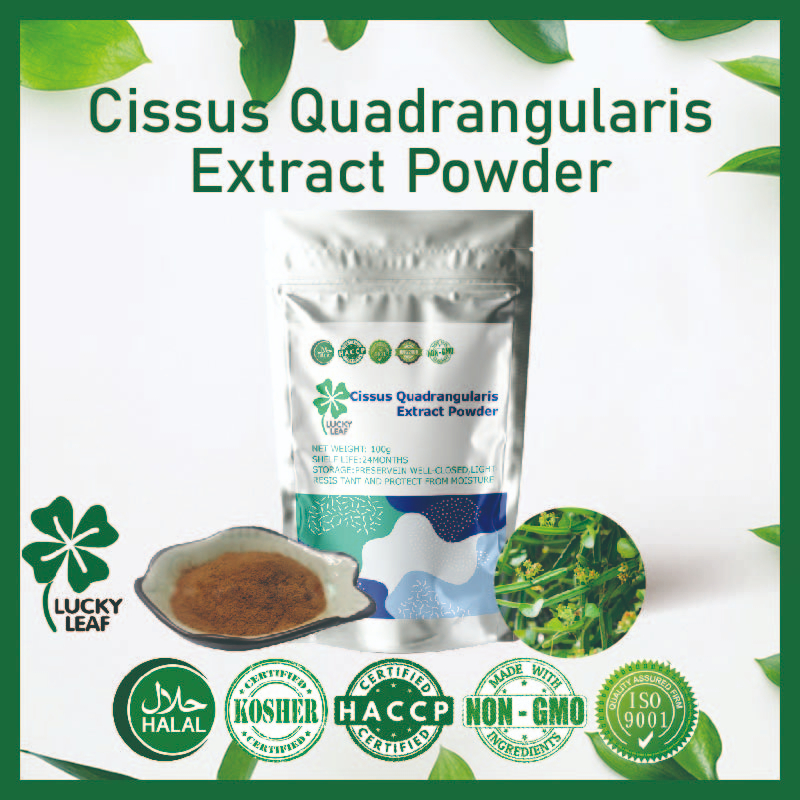[100-200g] Chiết xuất Cissus Quadrangularis / Pirandai / Sửa chữa gãy xương & Sức khỏe mãn kinh-Kosh