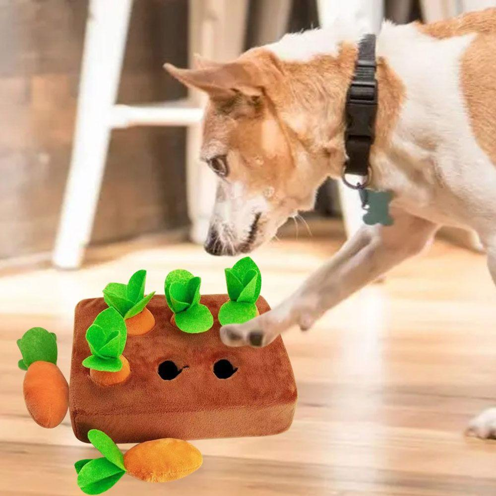 Đồ Chơi Củ Cà Rốt Nhồi Bông Ngộ Nghĩnh Đáng Yêu Cho Bé