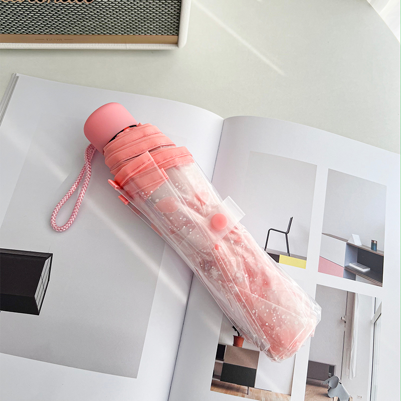 1 Chiếc Ô Gấp Trong Suốt Thời Trang Công Chúa Hoa Anh Đào 4 Màu  BerryHome~