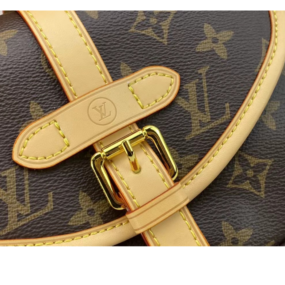 Louis vuitton Túi Đeo Chéo louis vuitton Cao Cấp Thời Trang Dành Cho Nữ