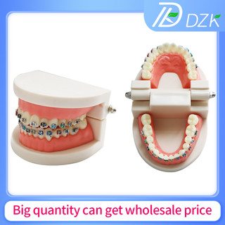 1Pack Gói Mô Hình Răng Giả Dạy Học Dental Teeth Model Teaching Study Demonstration Tool