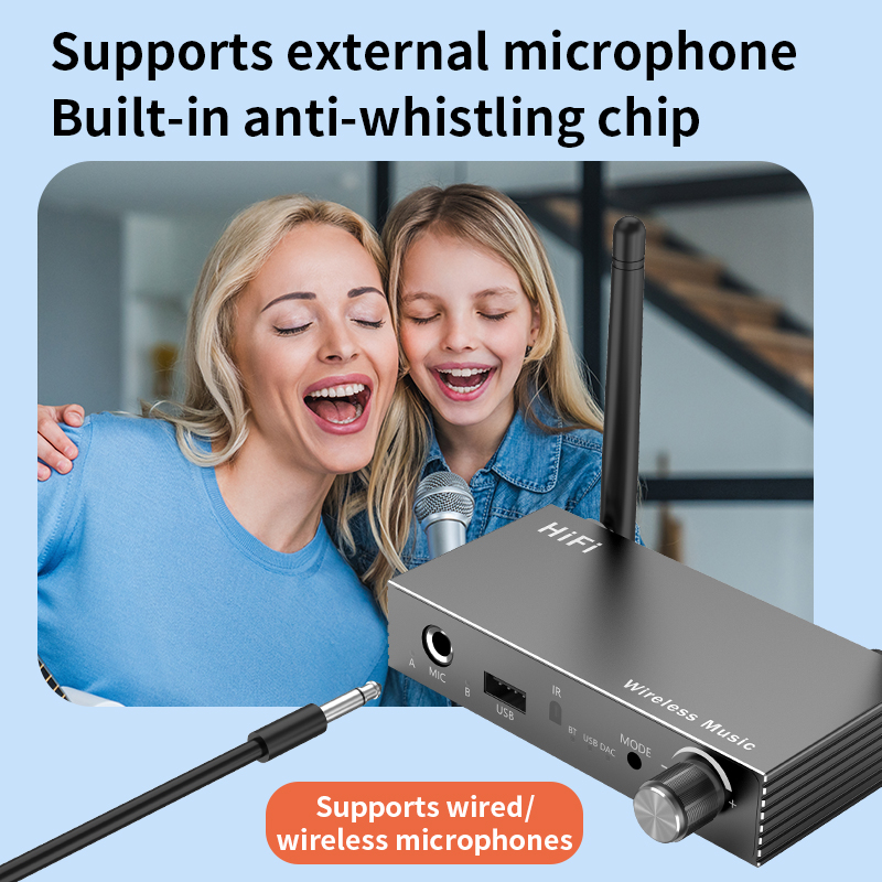 Thẻ Âm Thanh Micro 5.3 Kiểu Chữ u / Hình Trái Tim Cho Micro / Karaoke 5.3