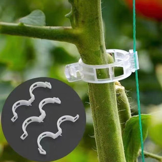 Set 50 Kẹp Cố Định Cây Cà Chua Tiện Lợi