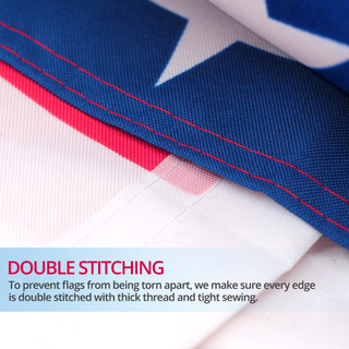 Biểu ngữ cờ bang Texas Anley 3x5 Ft Polyester