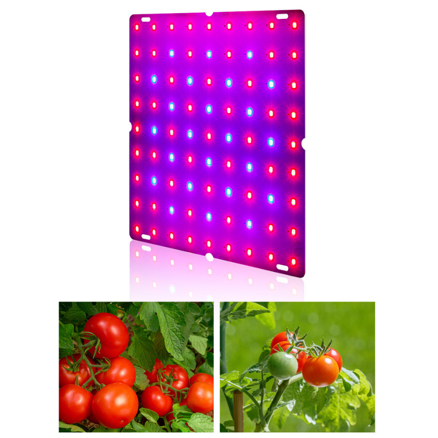 Đèn LED trồng cây chuyên dụng chất lượng cao 1000W bảng lượng tử phổ đỏ và xanh dương thực vật cho con trong nhà kính 85‑265V