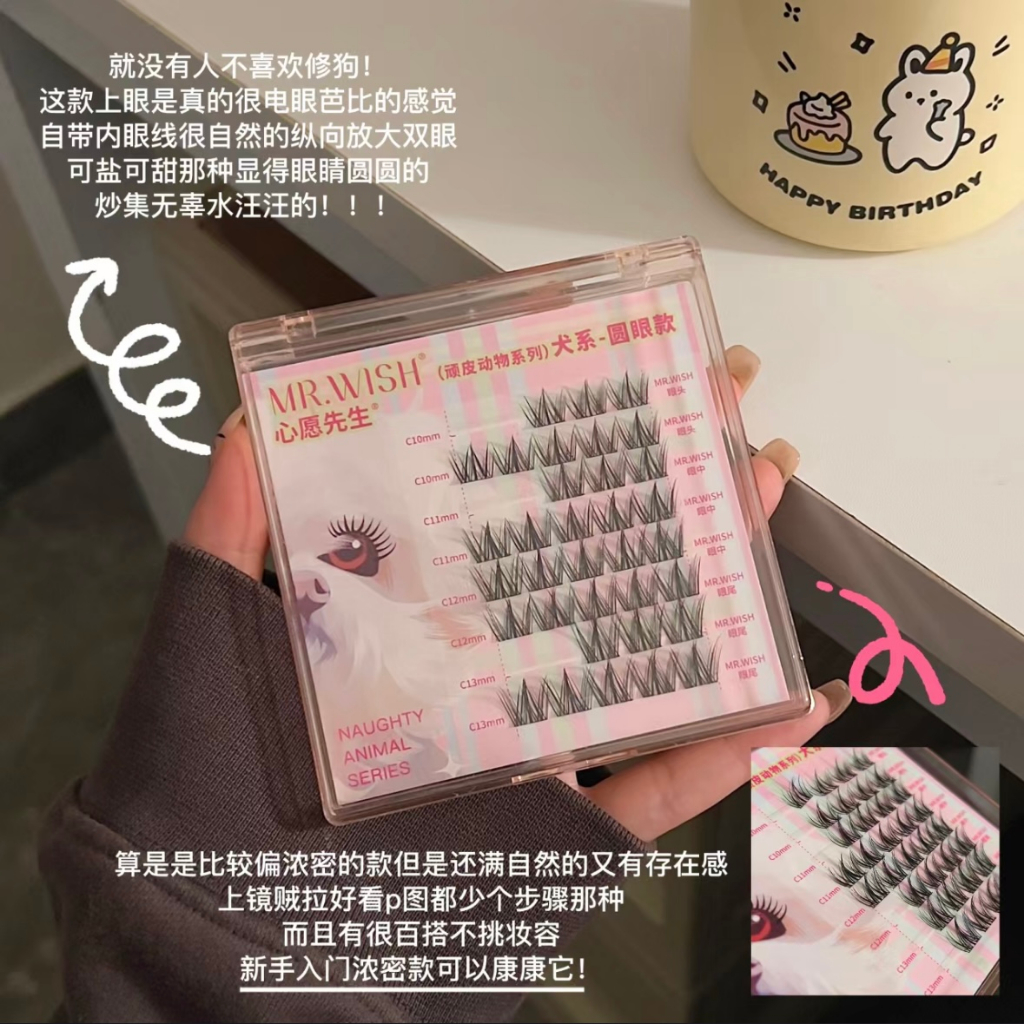 Lông Mi Giả MR.WISH