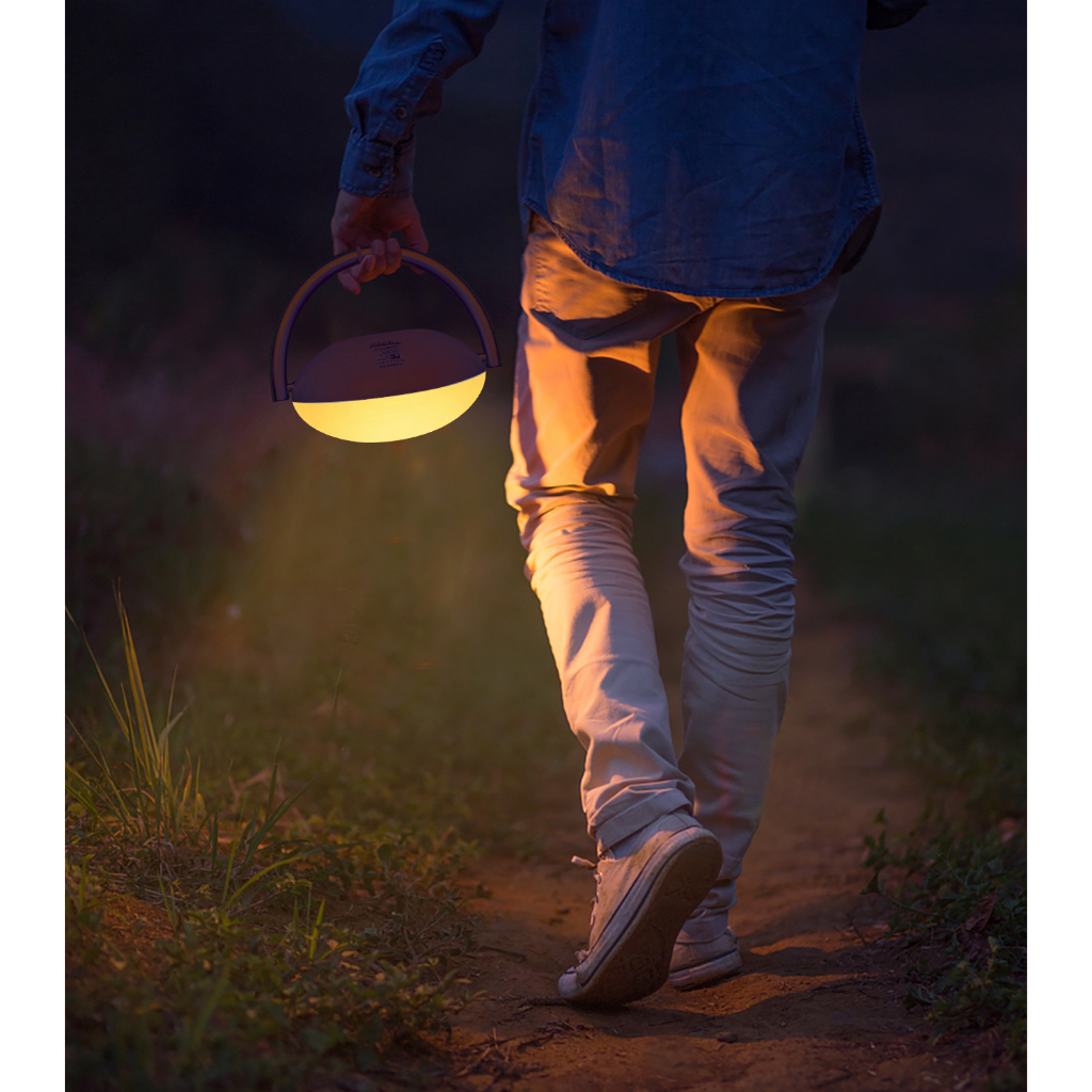 LEMEGA Loa nghe nhạc bluetooth,Không dây kết nối mini loa cầm tay đèn led