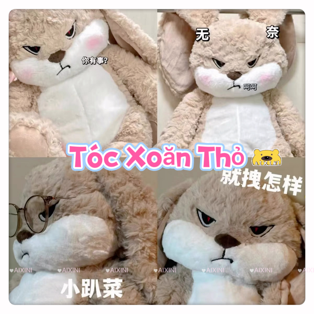 Giao hàng 3-5 Ngày🐰Cuốn Sách Nhỏ Màu Đỏ Cùng Tóc Xoăn Thỏ Đồ Chơi Sang Trọng Dễ Thương Búp Bê Thỏ Tai Thơm Búp Bê