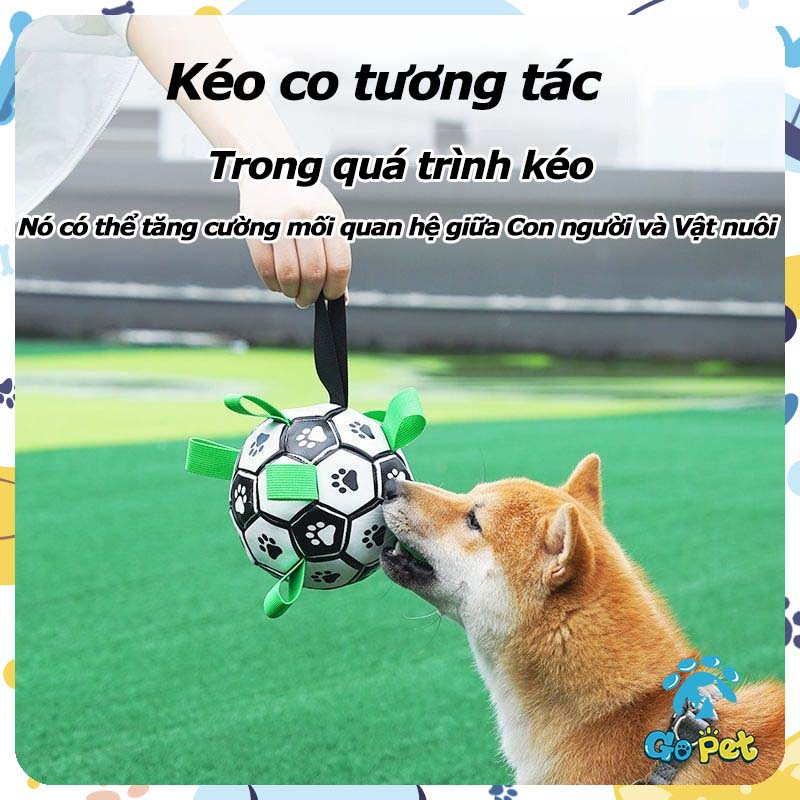 TPU chó cưng bóng đá chống cắn chó nghiến răng tự hi đồ chơi cưng tương tác đào tạo chuyên dụng
