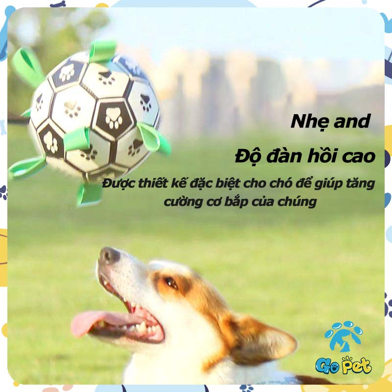 TPU chó cưng bóng đá chống cắn chó nghiến răng tự hi đồ chơi cưng tương tác đào tạo chuyên dụng