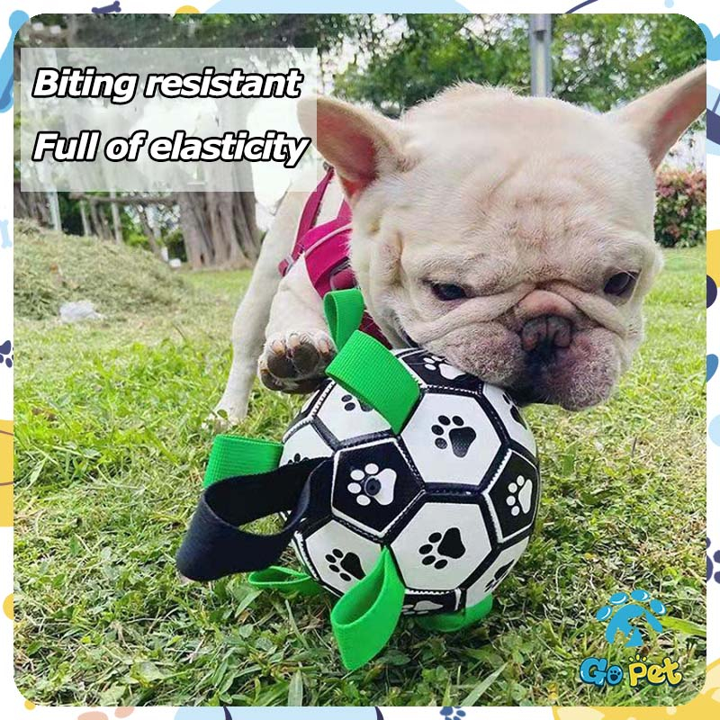 TPU chó cưng bóng đá chống cắn chó nghiến răng tự hi đồ chơi cưng tương tác đào tạo chuyên dụng