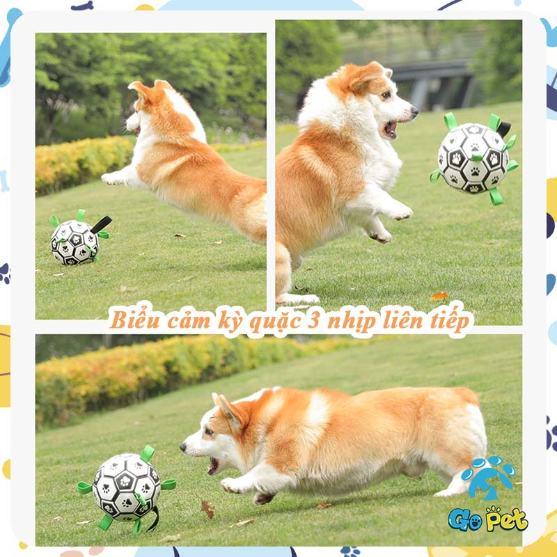 TPU chó cưng bóng đá chống cắn chó nghiến răng tự hi đồ chơi cưng tương tác đào tạo chuyên dụng