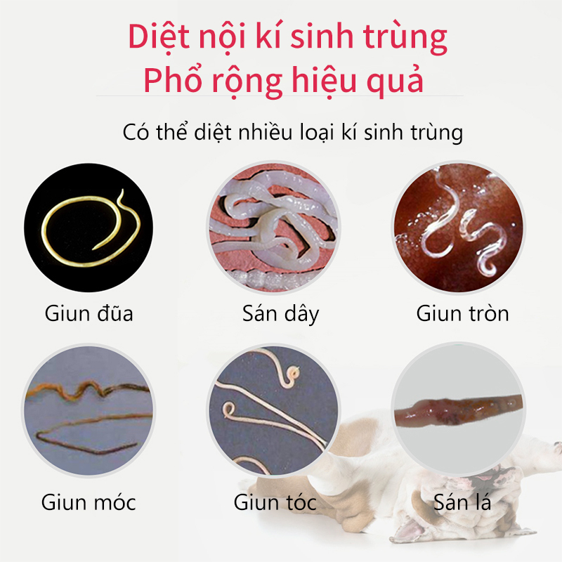 PUAINTA Chó Mèo Viên tẩy giun loại bỏ ký sinh trùng cho chó mèo giúp thú cưng của bạn luôn khoẻ mạnh 12viên