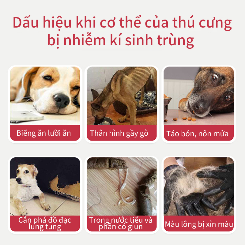 PUAINTA Chó Mèo Viên tẩy giun loại bỏ ký sinh trùng cho chó mèo giúp thú cưng của bạn luôn khoẻ mạnh 12viên