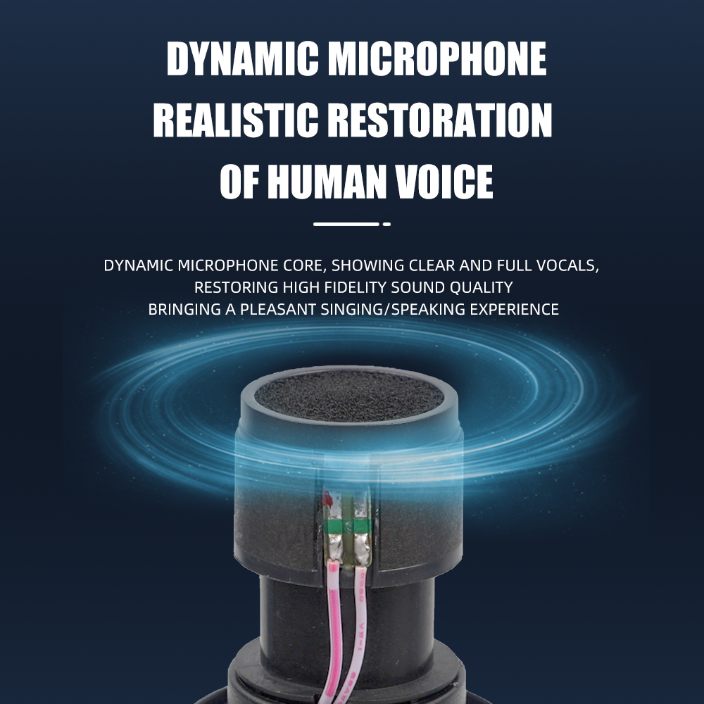 Micro karaoke Không Dây Cầm Tay Cho Hát karaoke Tại Nhà