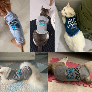 Áo thun cho thú cưng - Size XS-XL