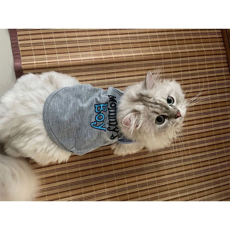 Áo thun cho thú cưng - Size XS-XL