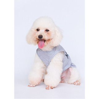 Áo thun cho thú cưng - Size XS-XL