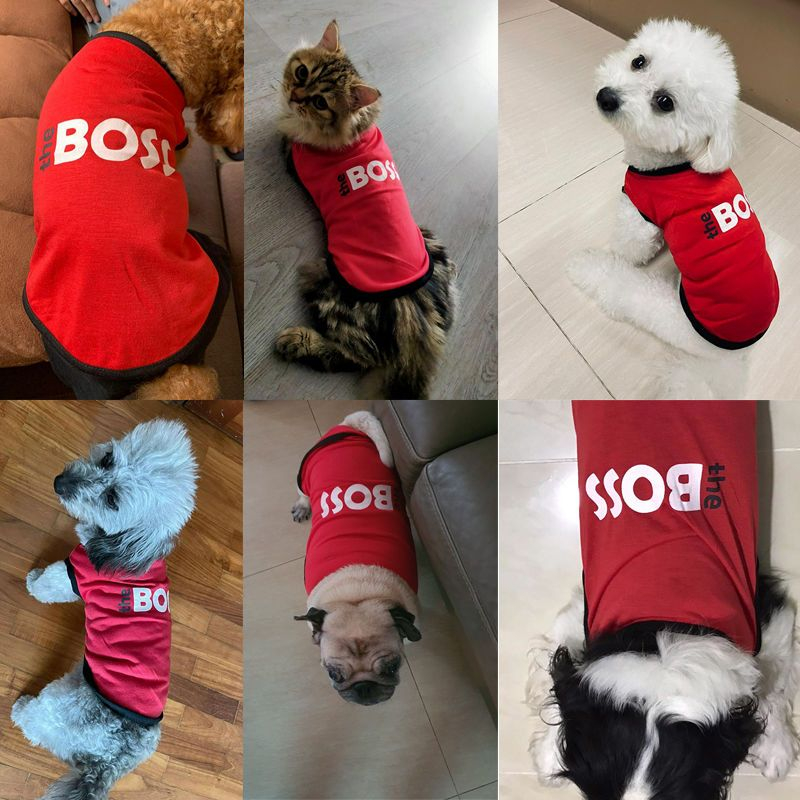 Áo thun cho thú cưng - Size XS-XL