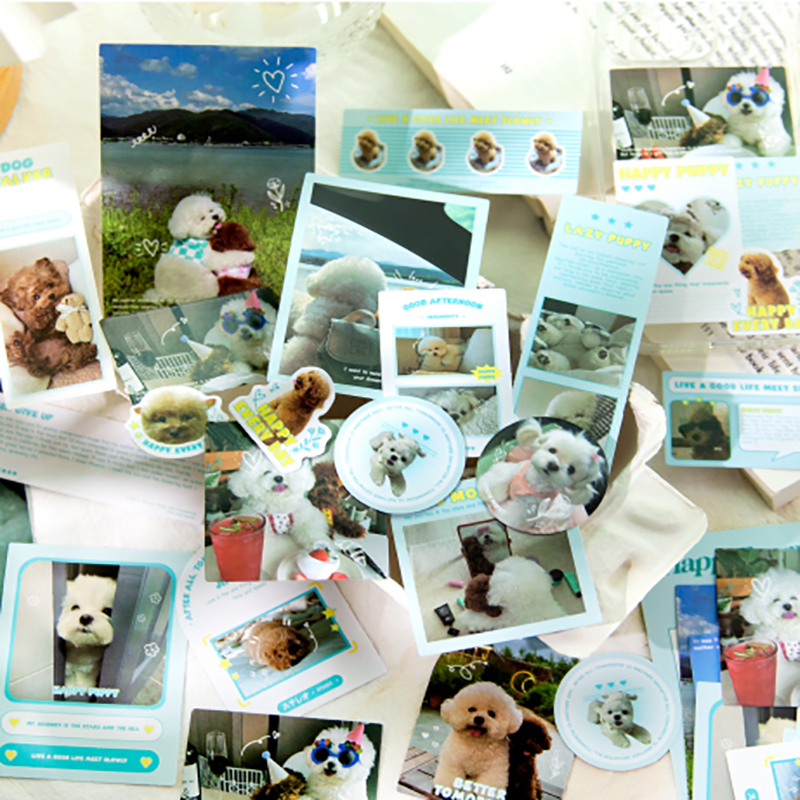 Mr. Paper 40 vé/túi Dán keo dán Ins style Thú cưng dễ thương Chú chó con Con mèo Tài liệu ghép tài liệu tay golem DIY điện thoại di động ShuiBei Trang trí Niêm phong dán