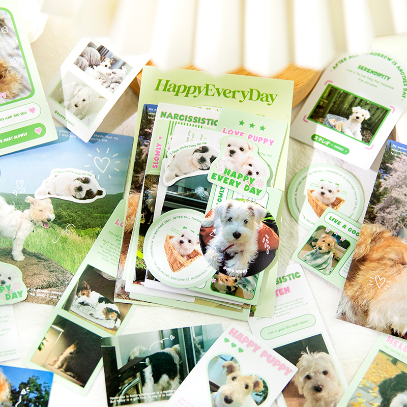 Mr. Paper 40 vé/túi Dán keo dán Ins style Thú cưng dễ thương Chú chó con Con mèo Tài liệu ghép tài liệu tay golem DIY điện thoại di động ShuiBei Trang trí Niêm phong dán