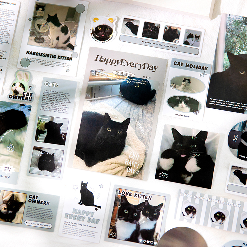 Mr. Paper 40 vé/túi Dán keo dán Ins style Thú cưng dễ thương Chú chó con Con mèo Tài liệu ghép tài liệu tay golem DIY điện thoại di động ShuiBei Trang trí Niêm phong dán