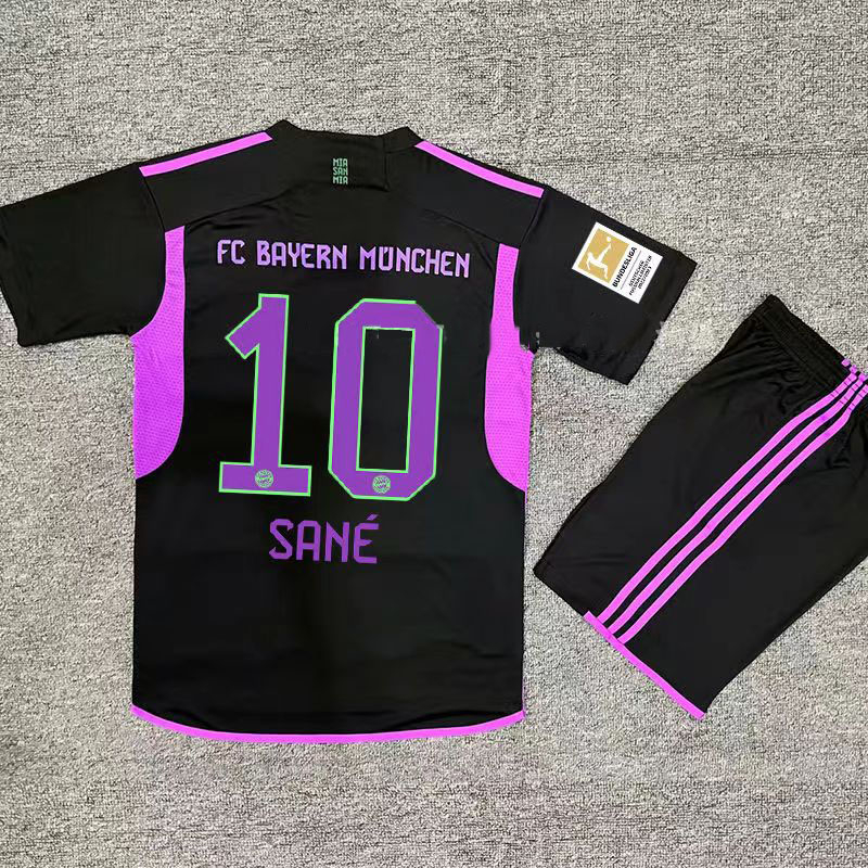Áo Bóng Đá Câu Lạc Bộ bayern munich Mùa Giải 2023 / 24
