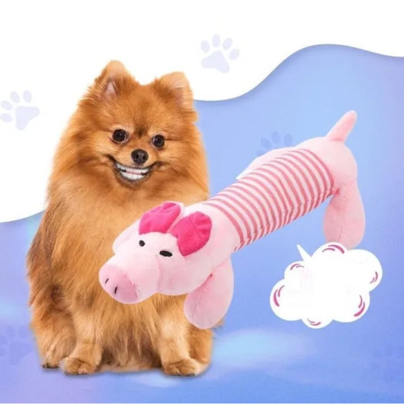 Đồ Chơi Nhai Gặm Hình Hàm Răng Cho Thú Cưng