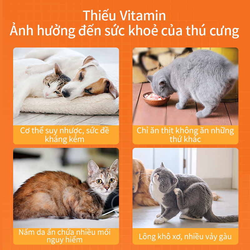 200 Viên vitamin tổng hợp PUAINTA bổ sung dưỡng chất ngăn ngừa bệnh ngoài da chống rụng lông cải thiện thị lực chó mèo