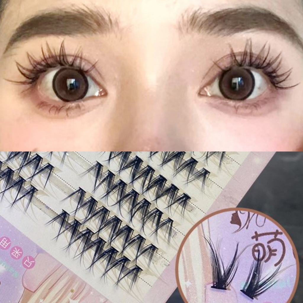Sweet Mint Hộp lông mi giả 10 hàng dáng gai lúa mì dày dặn tự nhiên có keo và nhíp