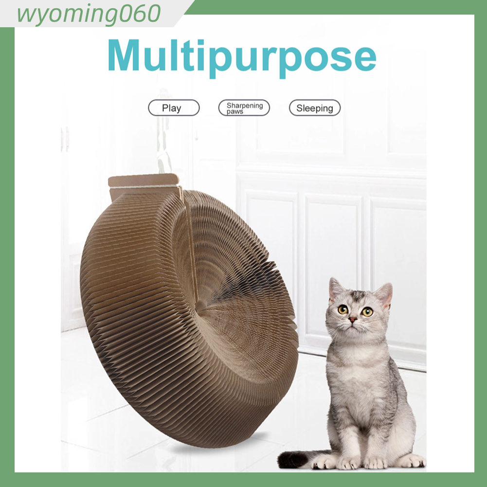 Bảng cào mèo có thể gập lại Bàn từ tính chống mài mòn với Catnip cho gia đình 【wyoming060】
