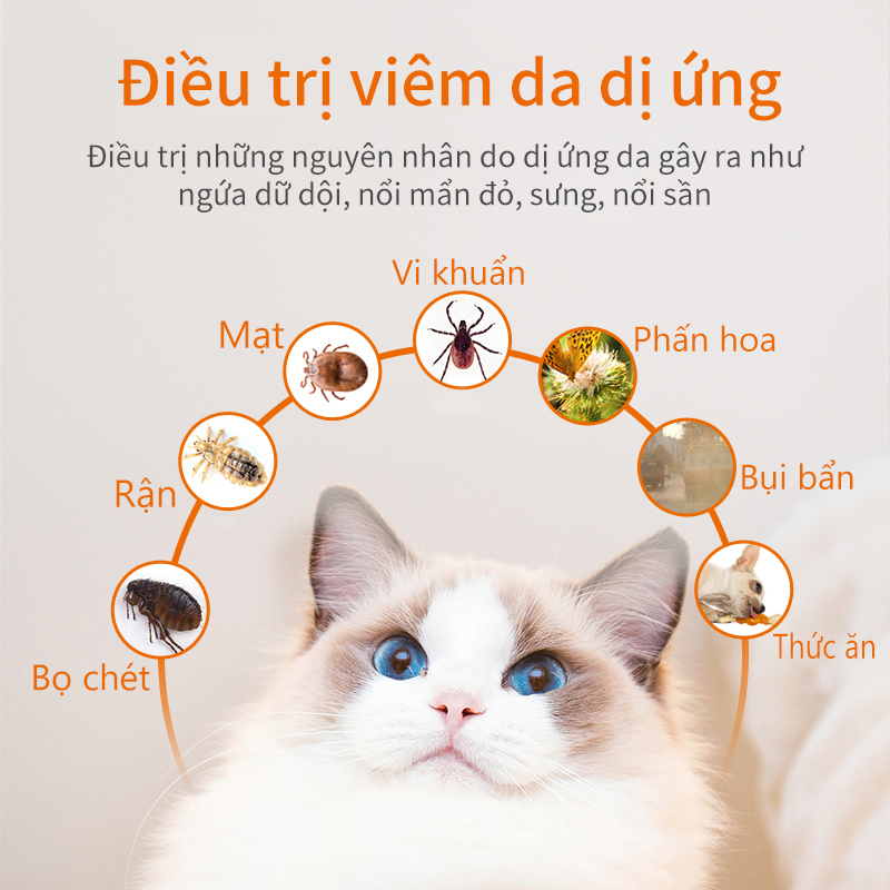 PUAINTA Túi Ngứa Chống Dị Ứng Cho Thú Cưng 4mg * 12 Cái