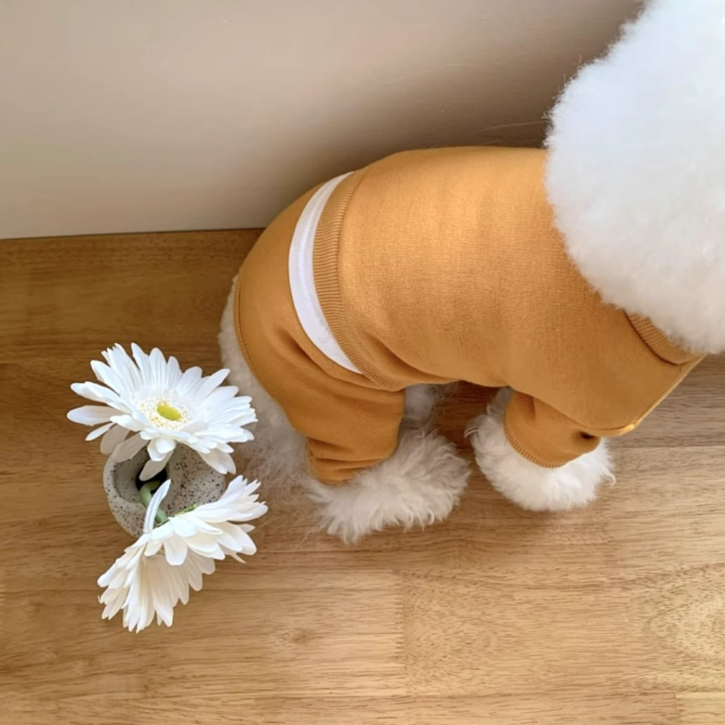 Bộ Quần Áo Thể Thao Bốn Chân Hình Quả Bưởi Nhỏ Mùa Thu Đông Cho Cún Cưng bixiong teddy