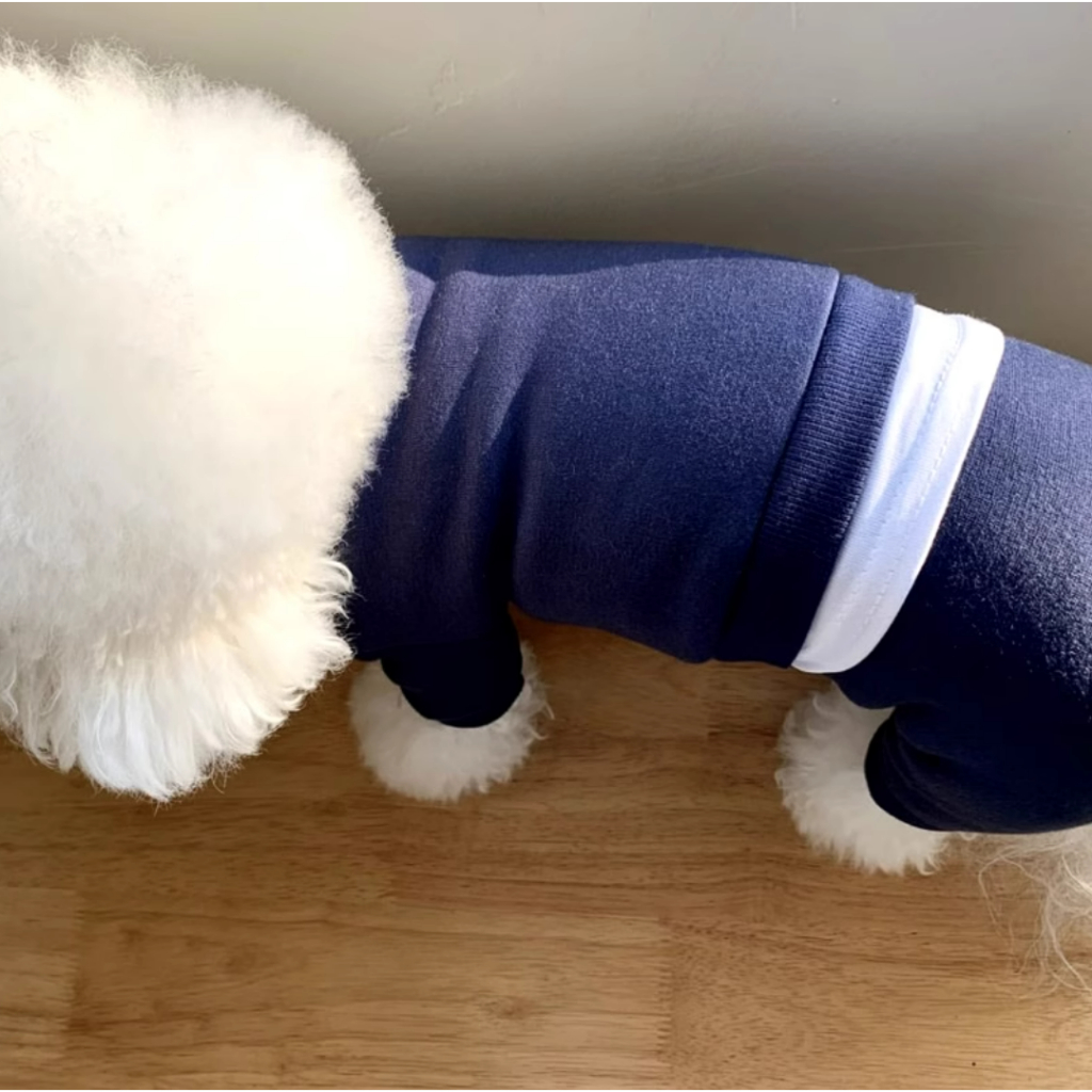 Bộ Quần Áo Thể Thao Bốn Chân Hình Quả Bưởi Nhỏ Mùa Thu Đông Cho Cún Cưng bixiong teddy