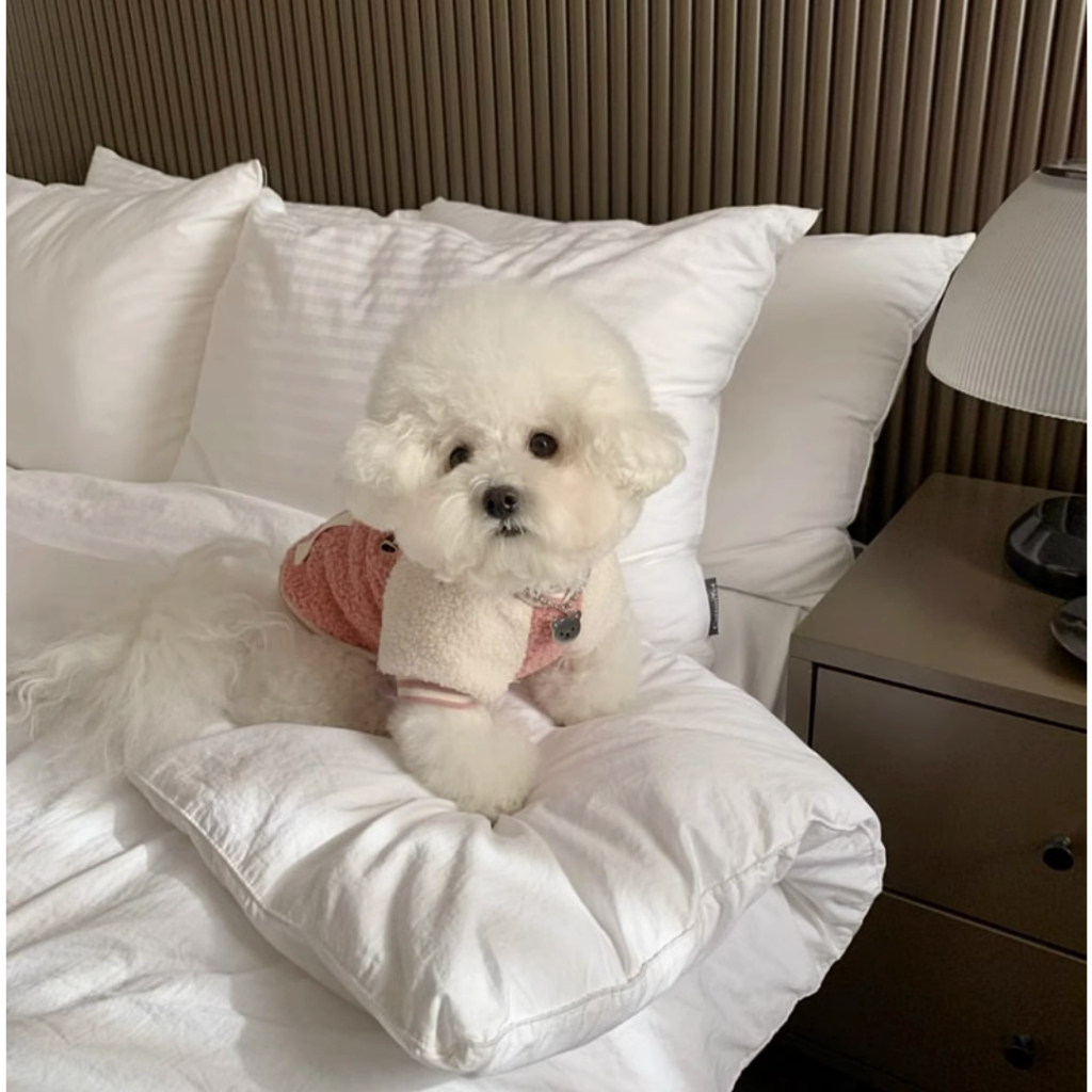 Áo Khoác Bóng Chày Thời Trang Thu Đông Cho Thú Cưng