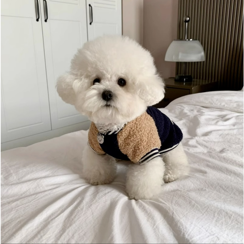 Áo Khoác Bóng Chày Thời Trang Thu Đông Cho Thú Cưng