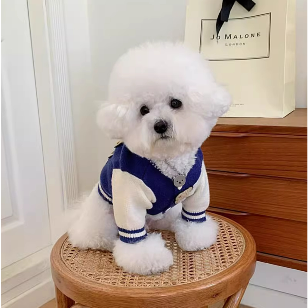 Áo sweater Dệt Kim Hình teddy / Lựu Đạn / teddy Thời Trang Thu Đông Cho Thú Cưng