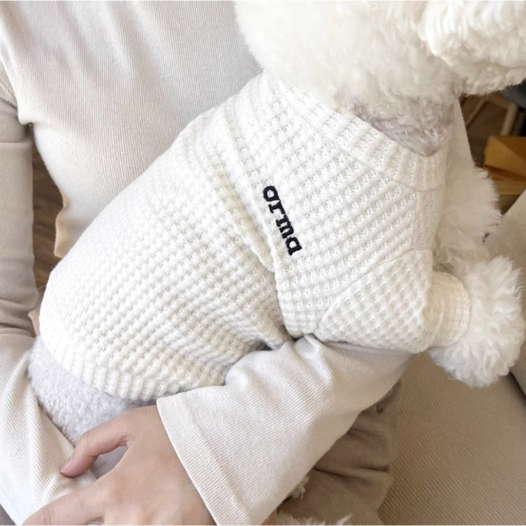 Áo Thun Đáy teddy bomei vip yorkshire marzis Mùa Thu Cho Thú Cưng