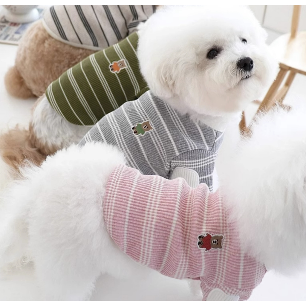Áo Thun In Hình bome yorkshire marzis teddy kitty Thời Trang Thu Đông Cho Thú Cưng