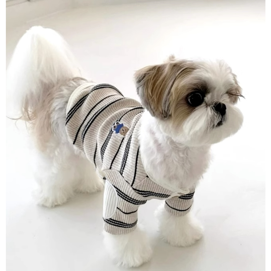 Áo Thun In Hình bome yorkshire marzis teddy kitty Thời Trang Thu Đông Cho Thú Cưng