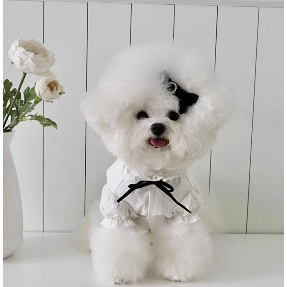 Set Áo Và Chân Váy Xinh Xắn Cho Thú Cưng