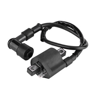 Cuộn Dây Đánh Lửa Cho 150CC 200CC 250CC ATV Xe Máy Go Kart 【Spring061】