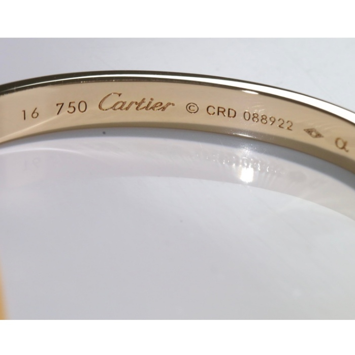 Caries Tuốc nơ vít vòng đeo tay bằng thép không gỉ vàng Vòng tay nữ