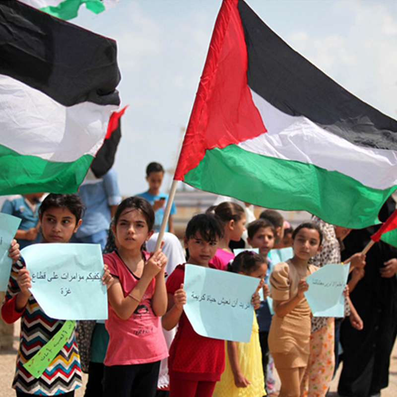 Cờ palestine Sống Động Bằng Vải Bạt Và Không Phai Màu Và Hai Đường Khâu Biendera palestin polyester Với Đồng Thau