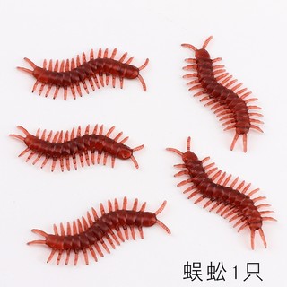 Đồ Chơi Hình Con Gián Độc Đáo Sáng Tạo
