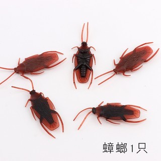 Đồ Chơi Hình Con Gián Độc Đáo Sáng Tạo