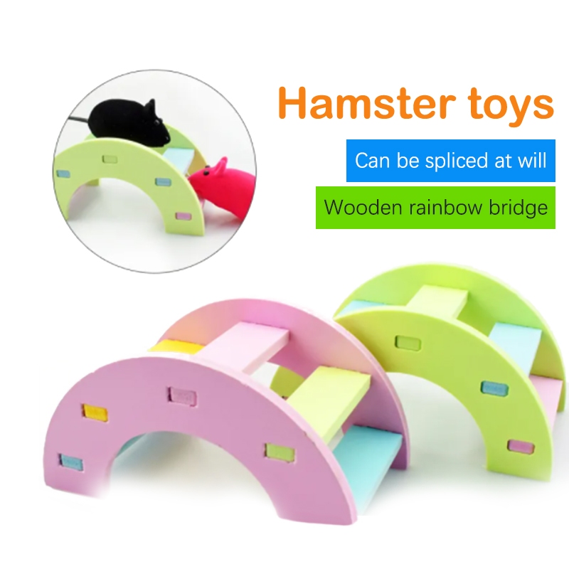 Xích Đu Đồ Chơi Đi Mưa Dành Cho Chuột Hamster