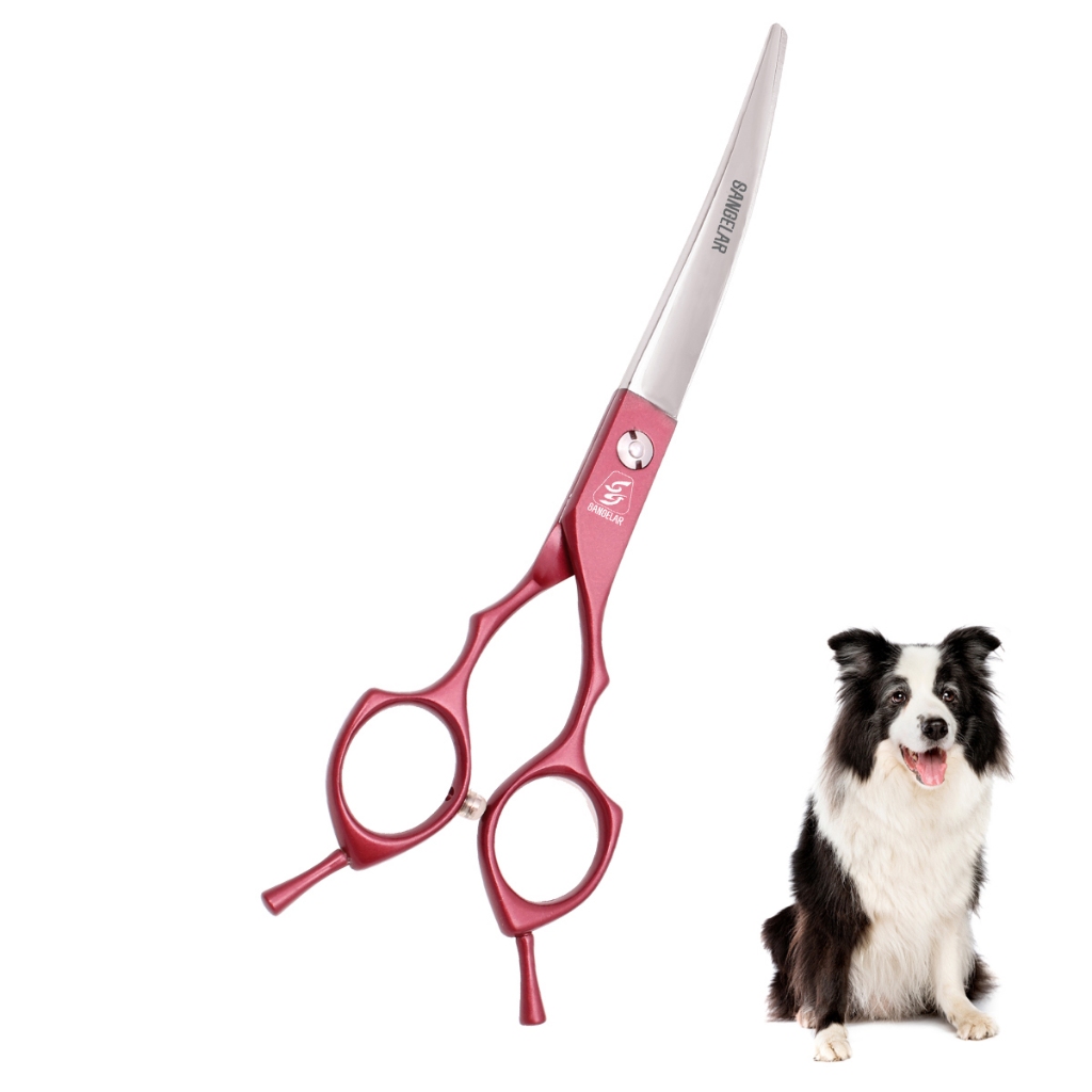 Kéo Cắt Tỉa Lông Thú Cưng 6.5 inch Tiện Dụng