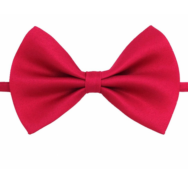 Cà vạt trẻ em cà vạt nơ trẻ em